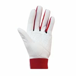 LOUISVILLE SLUGGER Louisville Vintage TPS Batting Gloves -Baseball Bat Store lswtl2020v wrd 1