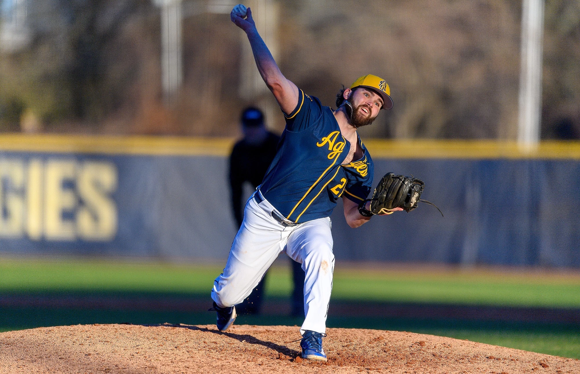 Baseball Bat Store 2 Baseball Bat Store -Baseball Bat Store 2 1